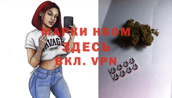 шишки Елизово