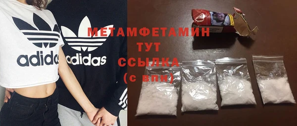 шишки Елизово