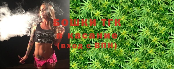 шишки Елизово