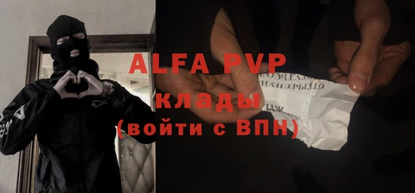 шишки Елизово