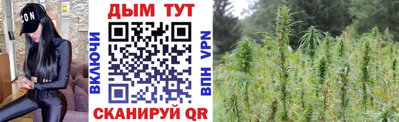 Марихуана White Widow  Камызяк 